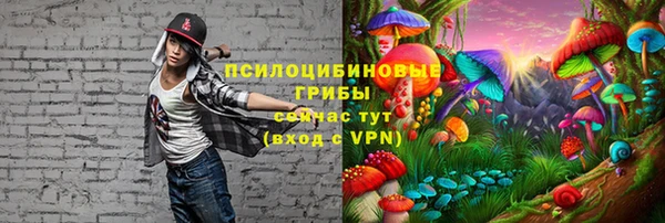 MDMA Premium VHQ Аркадак