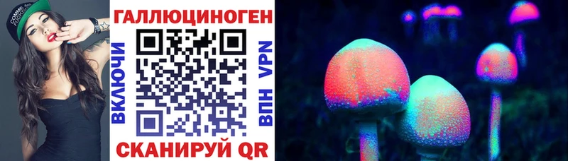 блэк спрут зеркало  Всеволожск  Галлюциногенные грибы Psilocybe 